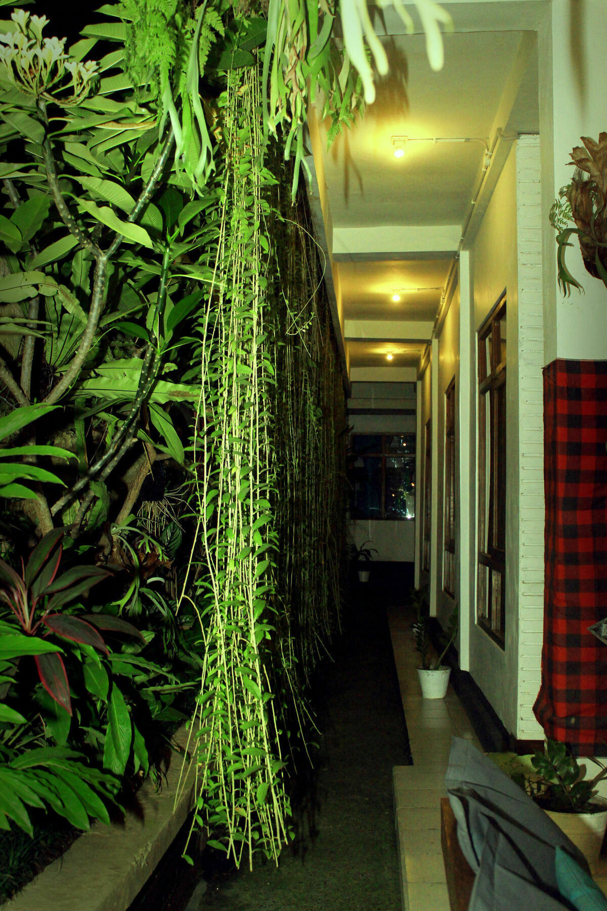 Friendly House Bali Hostel Ubud  Luaran gambar